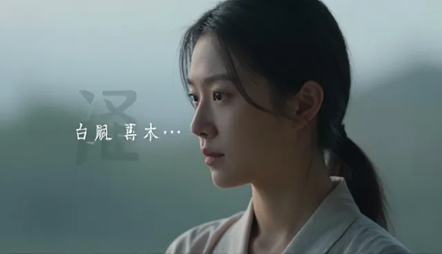 平面设计在品牌策划中的执行限制与选择依据